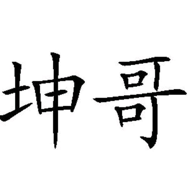 坤哥（王者推广官）
