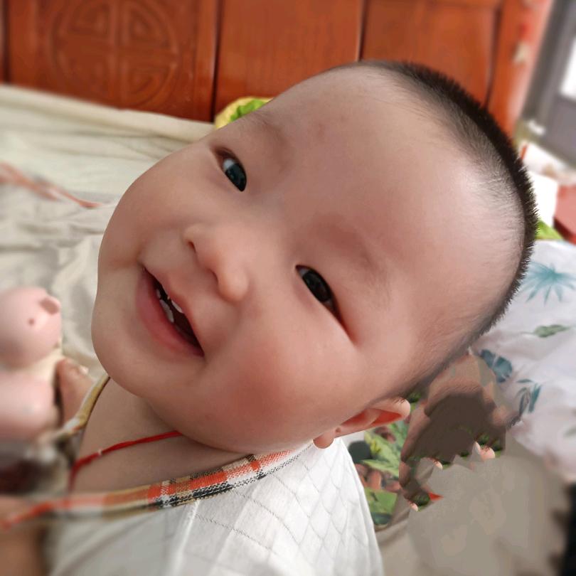 维尼宝贝