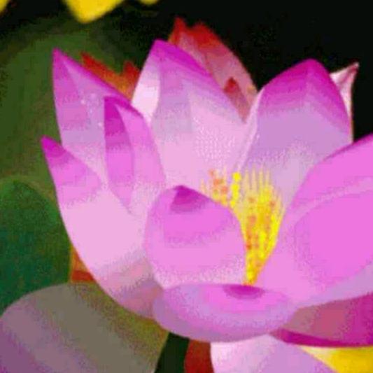 缘份