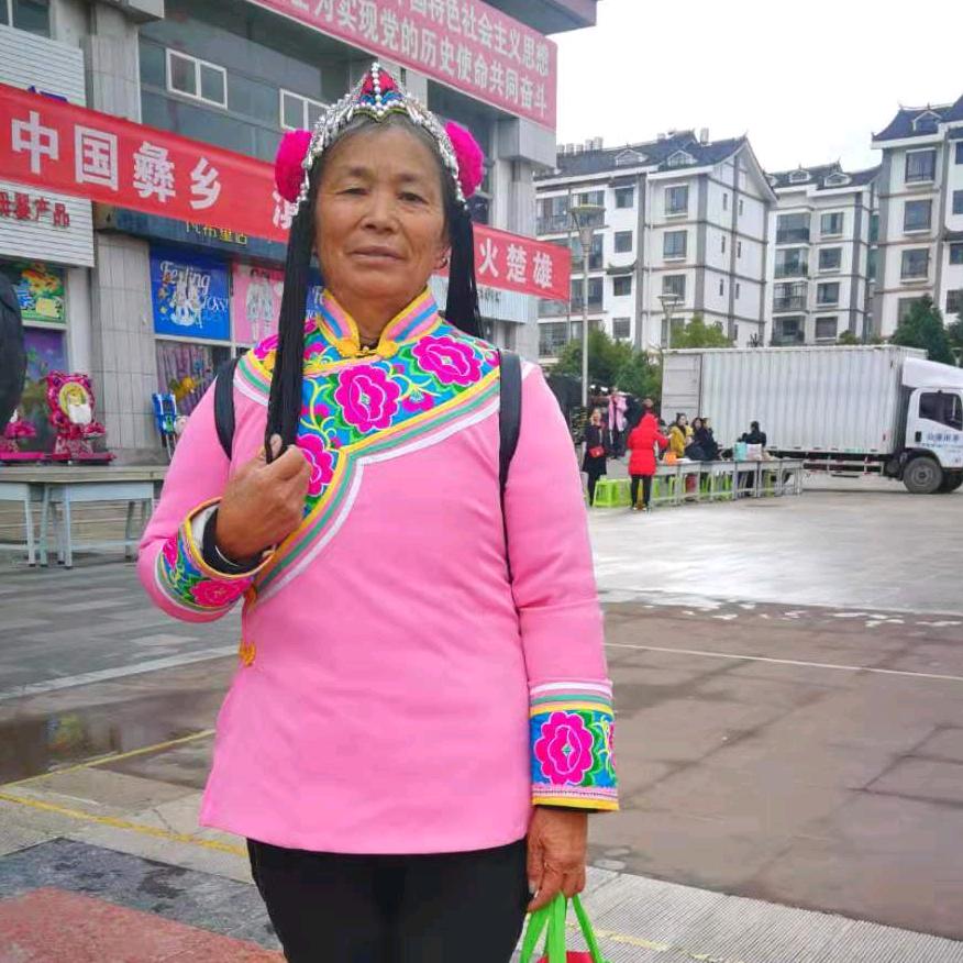 赵大姐【武定是个好地方原唱】