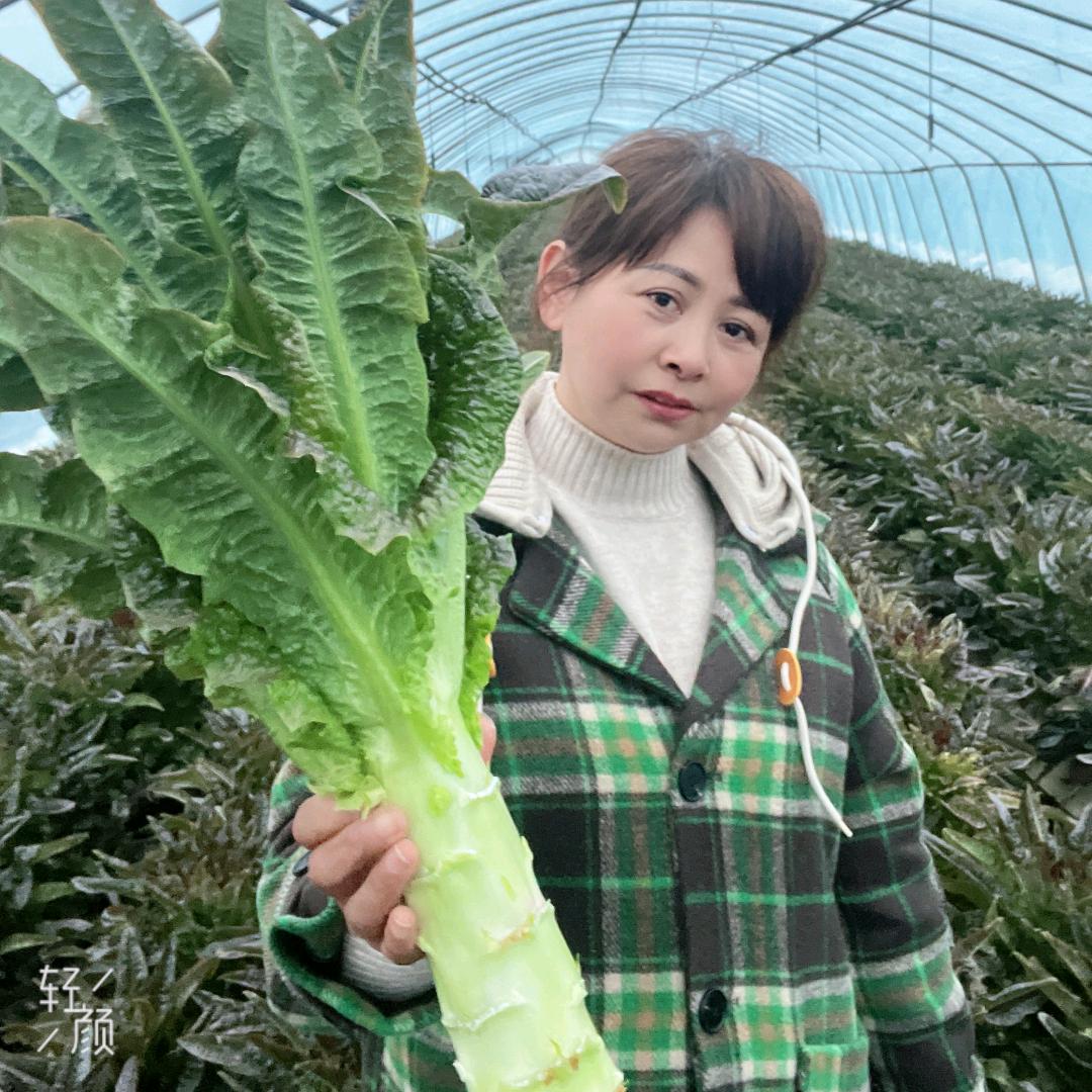 兰姐的菜园