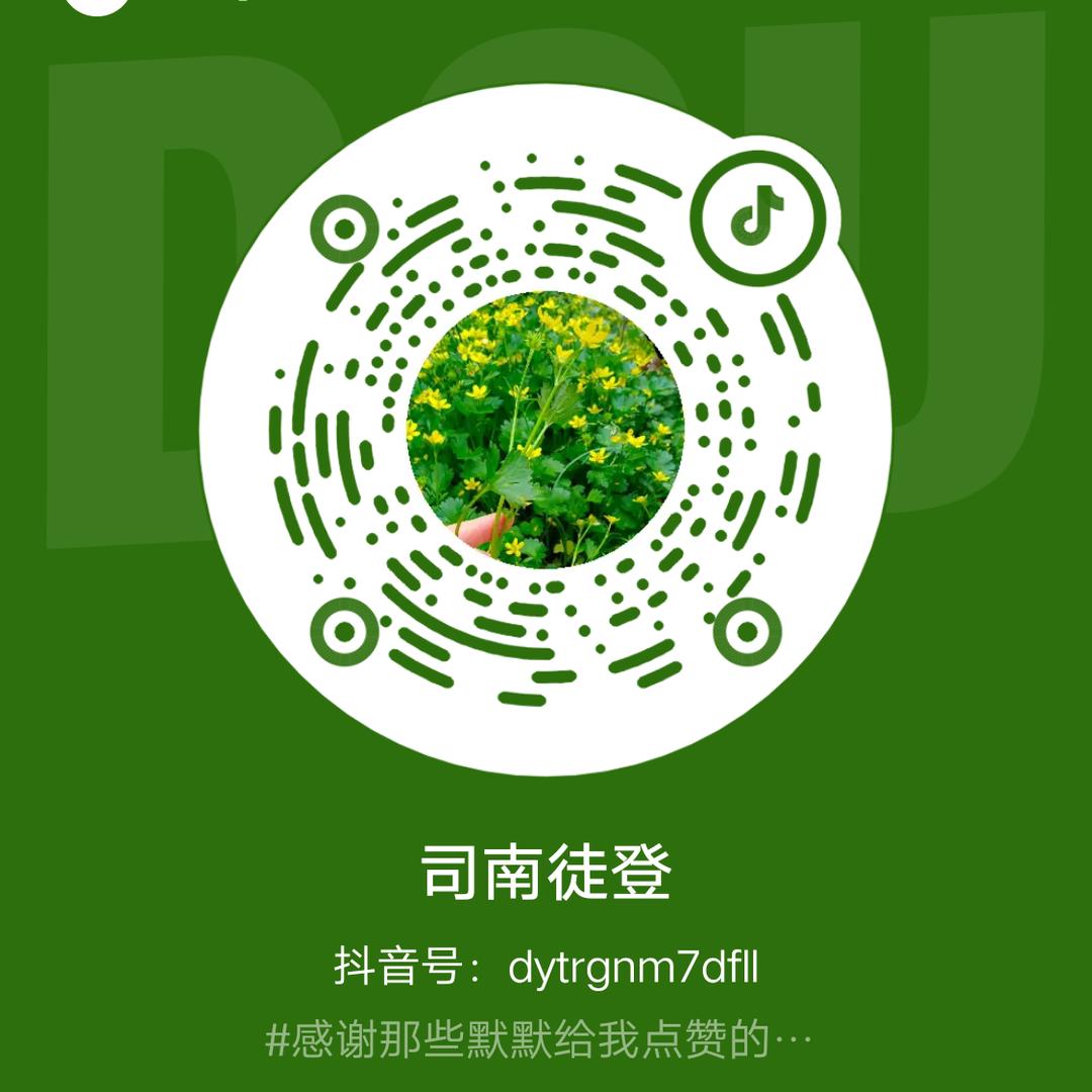 司南徒登