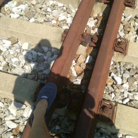 没人喜欢装修工