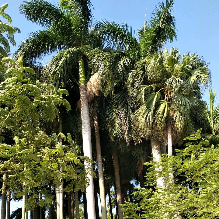 心静如水