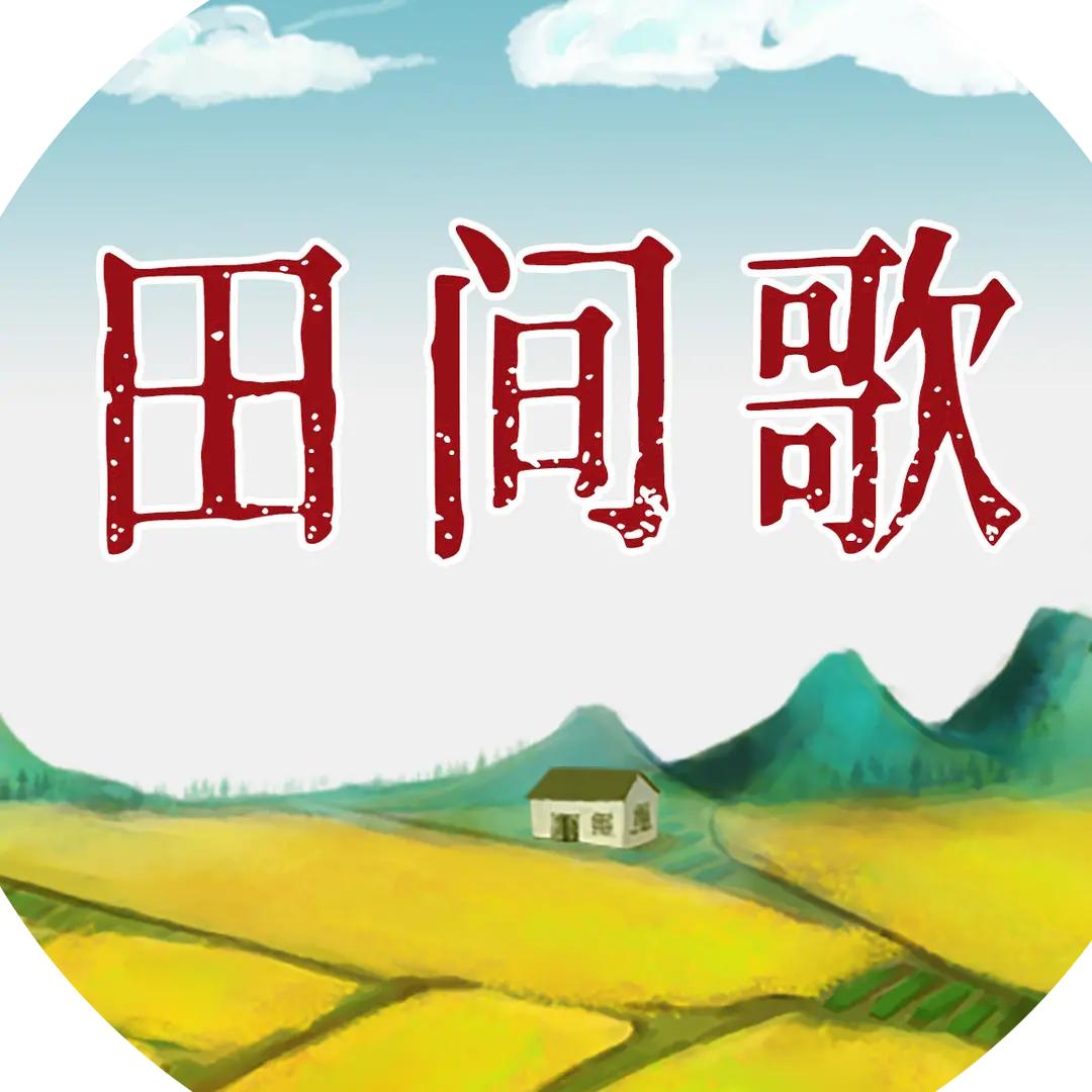 田间歌小店