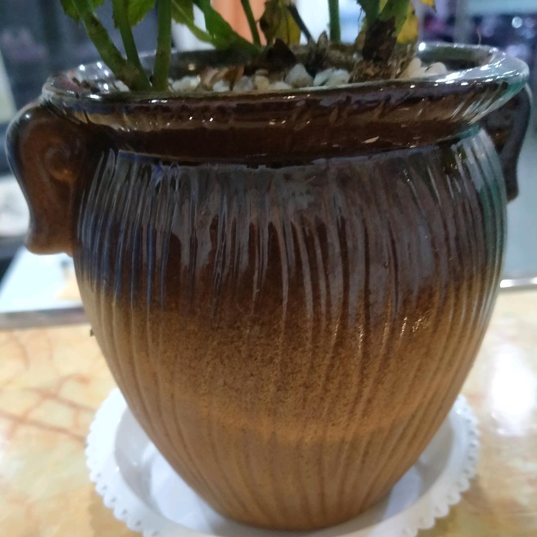 有缘千里来相会