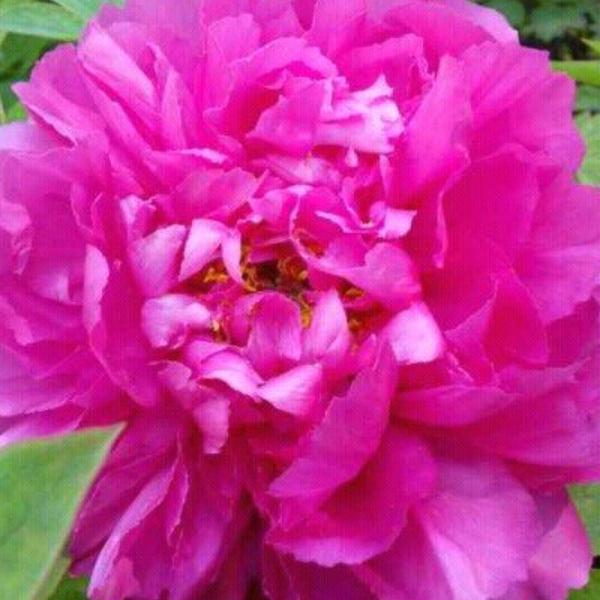 牵挂