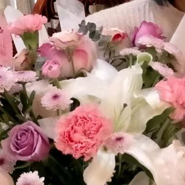 风云芙蓉