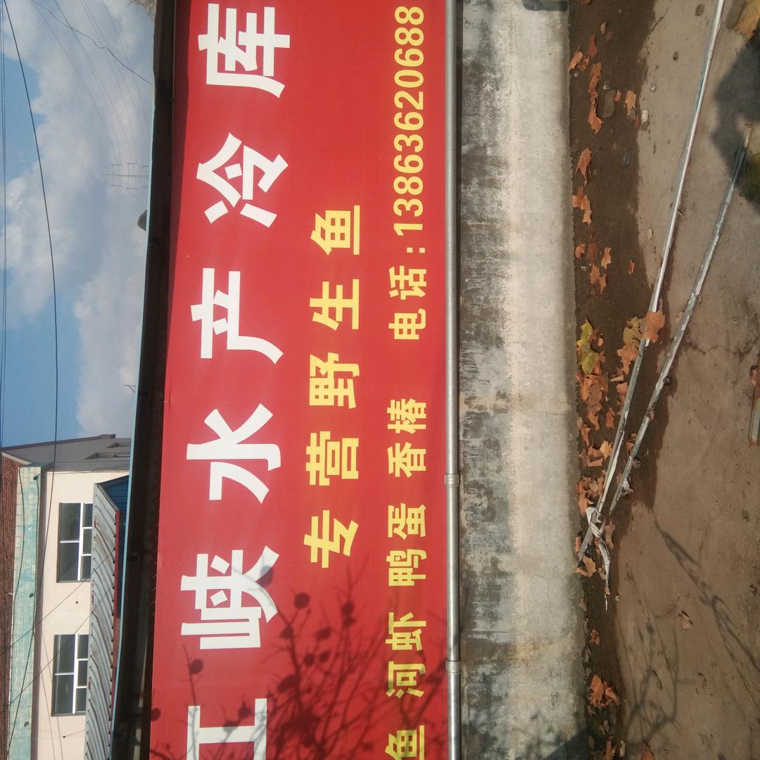 峡山渔行王战楼