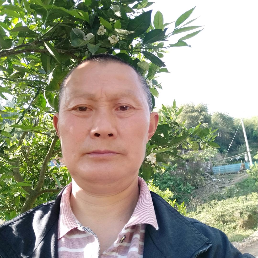 六井大山里养土鸡、土羊、土蜂蜜的人张生明