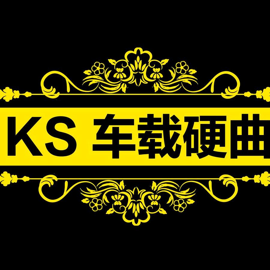 阔盛车载嗨音