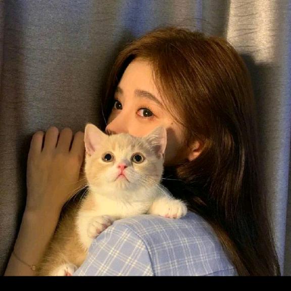 依小一(欻欻欻)