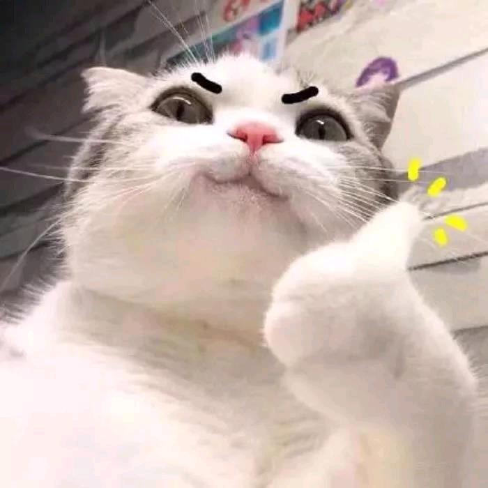 .晚秋雾.
