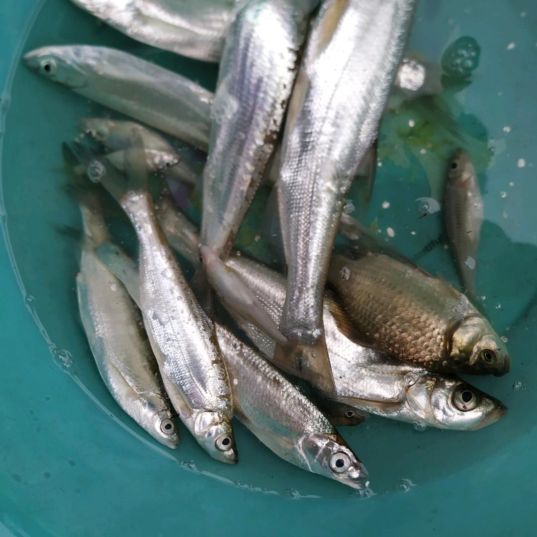缘分