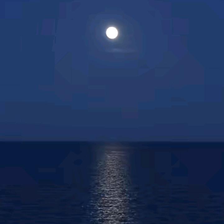 @偶遇🌙