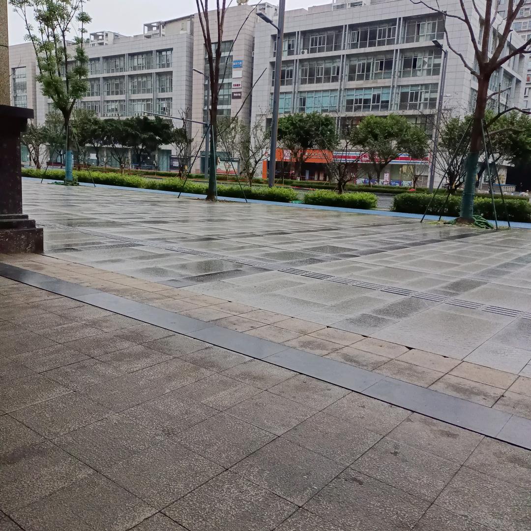 失恋歌迷党