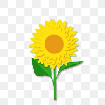 三月桃花开