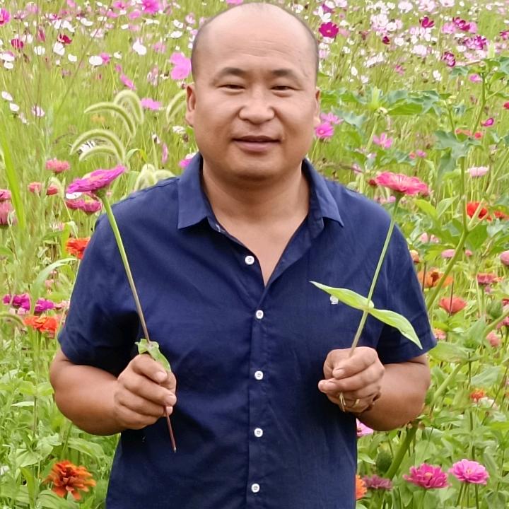 张海红