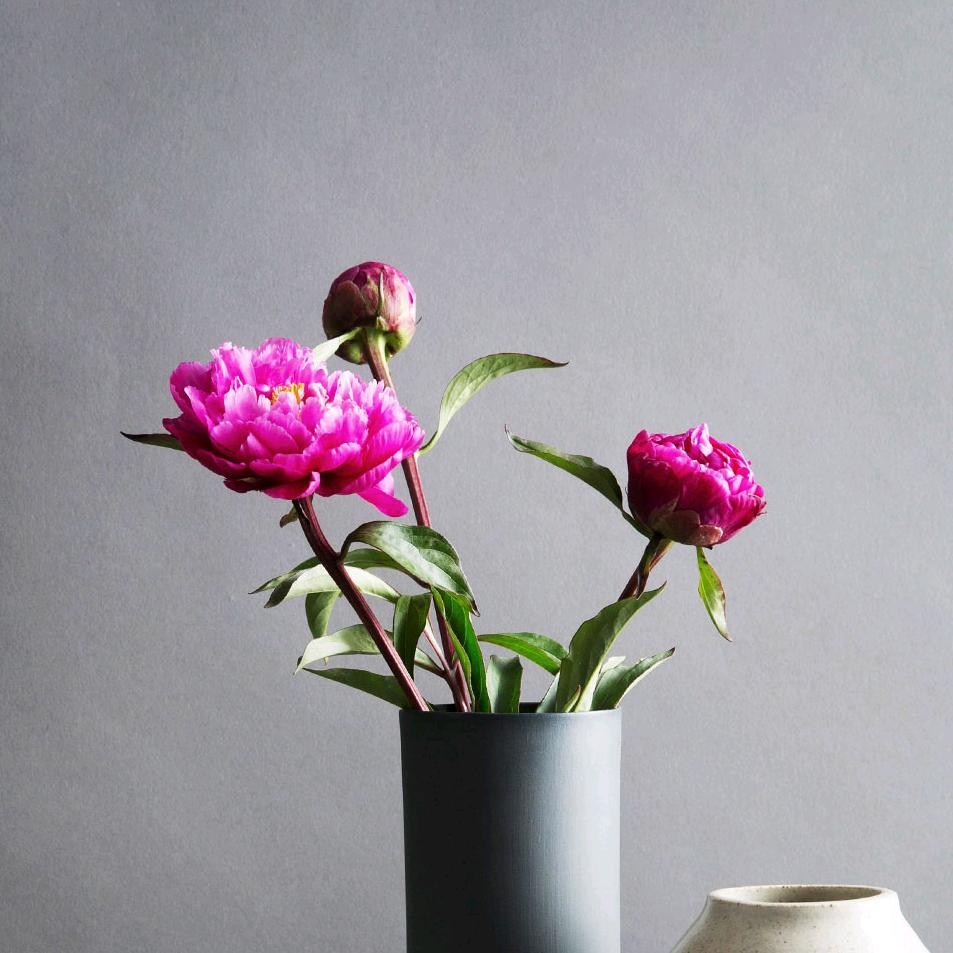 整蛊恶搞视频+橱窗好物