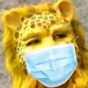 释迦摩尼
