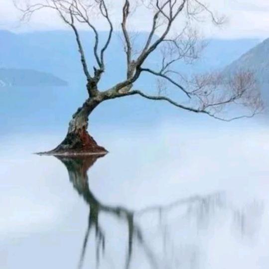 @上善若水