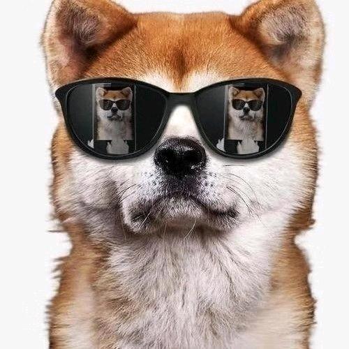 考研掌柜