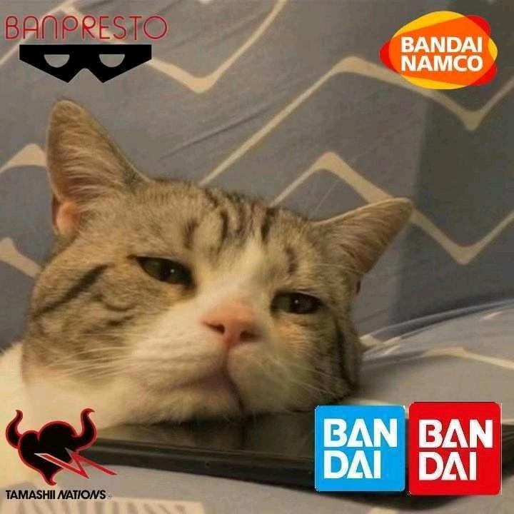 柒辰