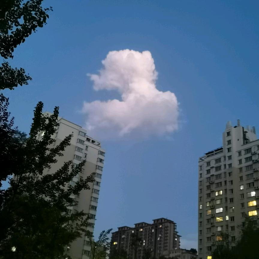 商山云鹤