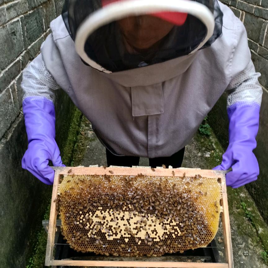 林站平价超市、丰城潘桥水库正宗土蜂蜜