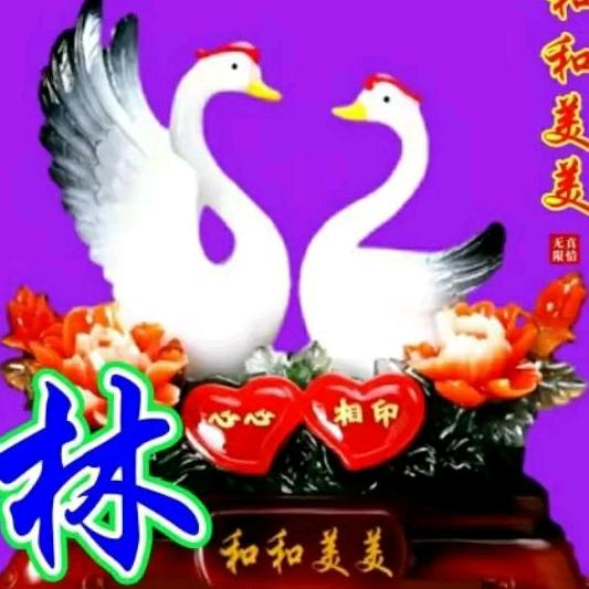 林子