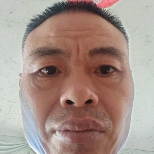 大鹏展翅