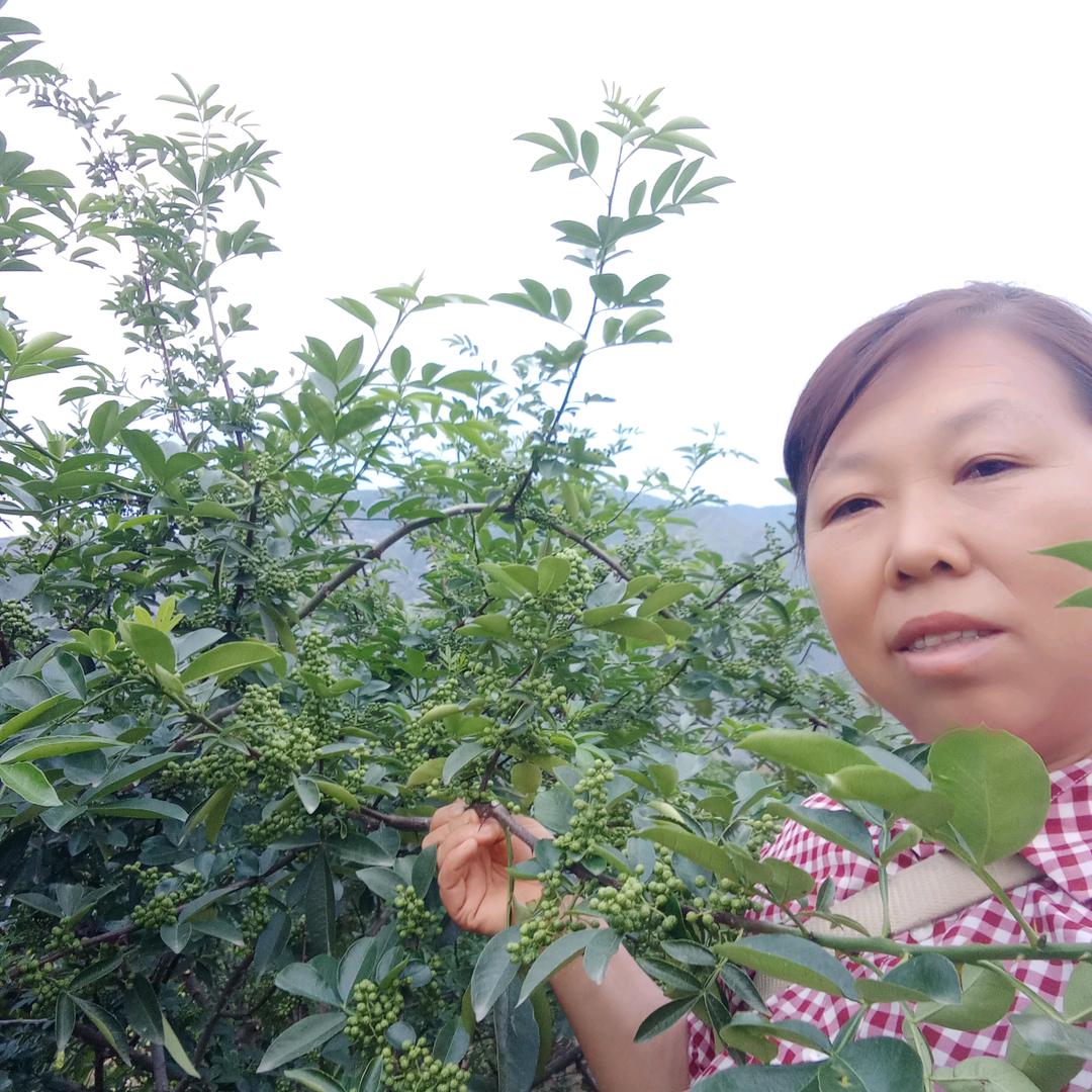 渴望未来忘掉过去