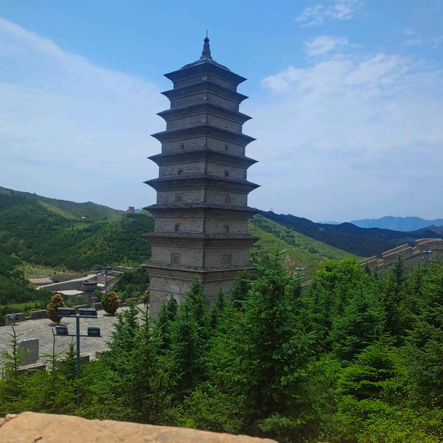 赵喜良