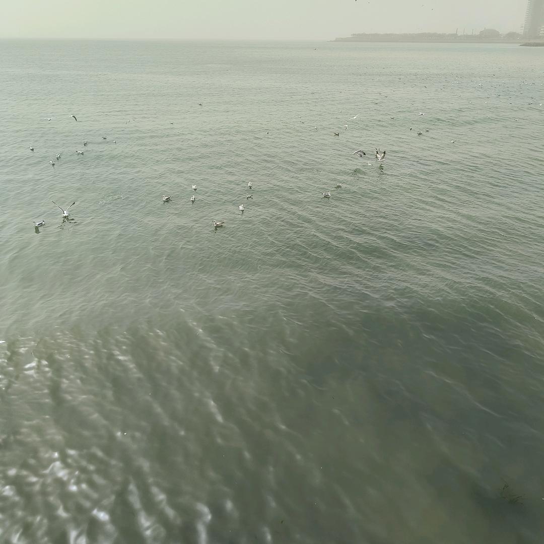 爱的世界只有你