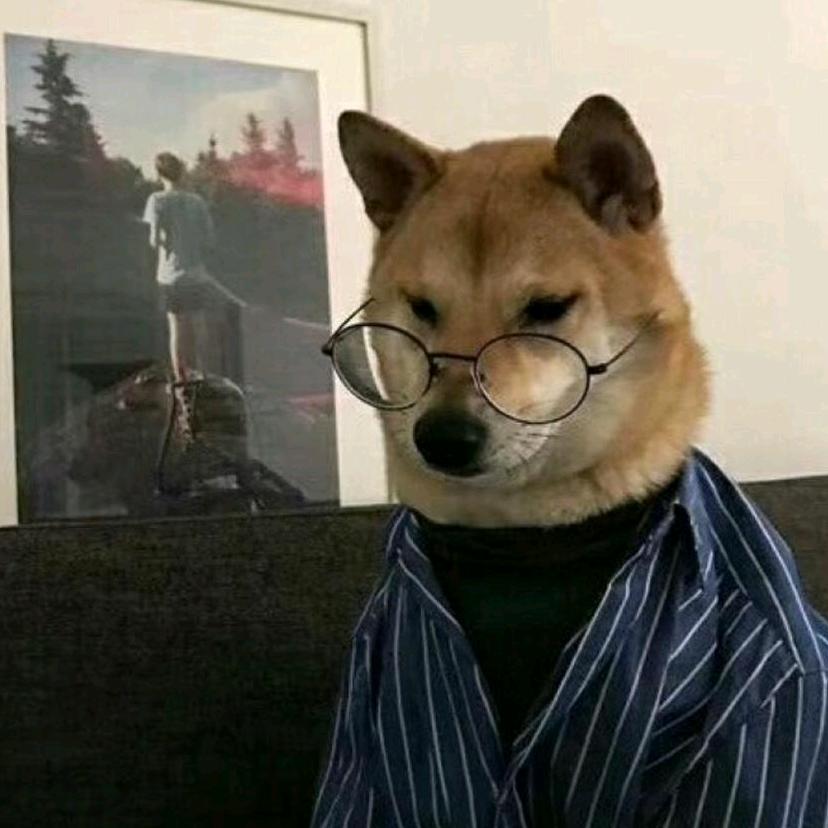 骑老奶奶过马路