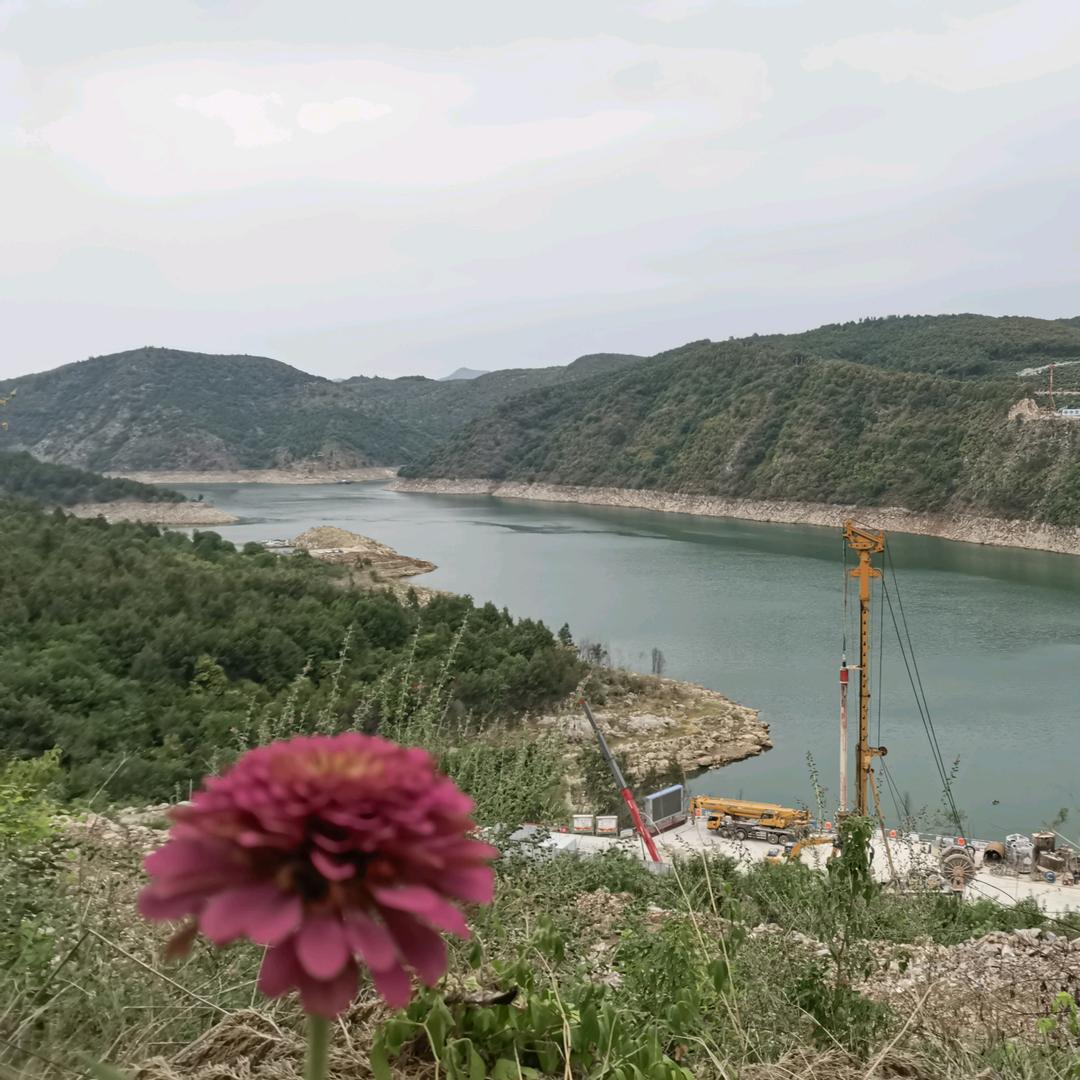 静姐