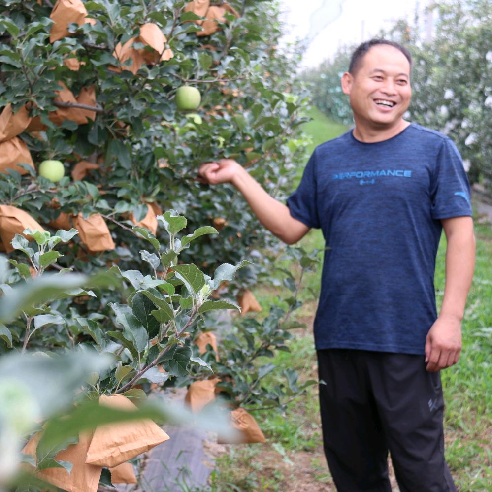 苹果卜哥！优品优选