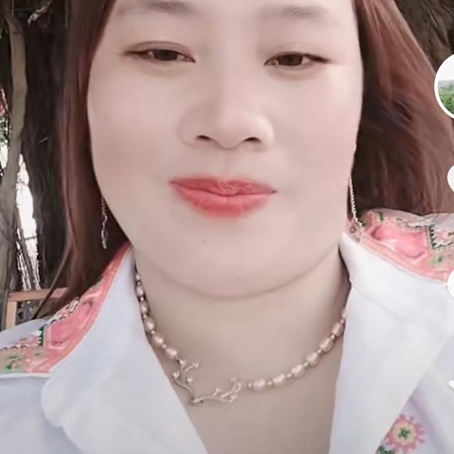 蝴蝶的泪