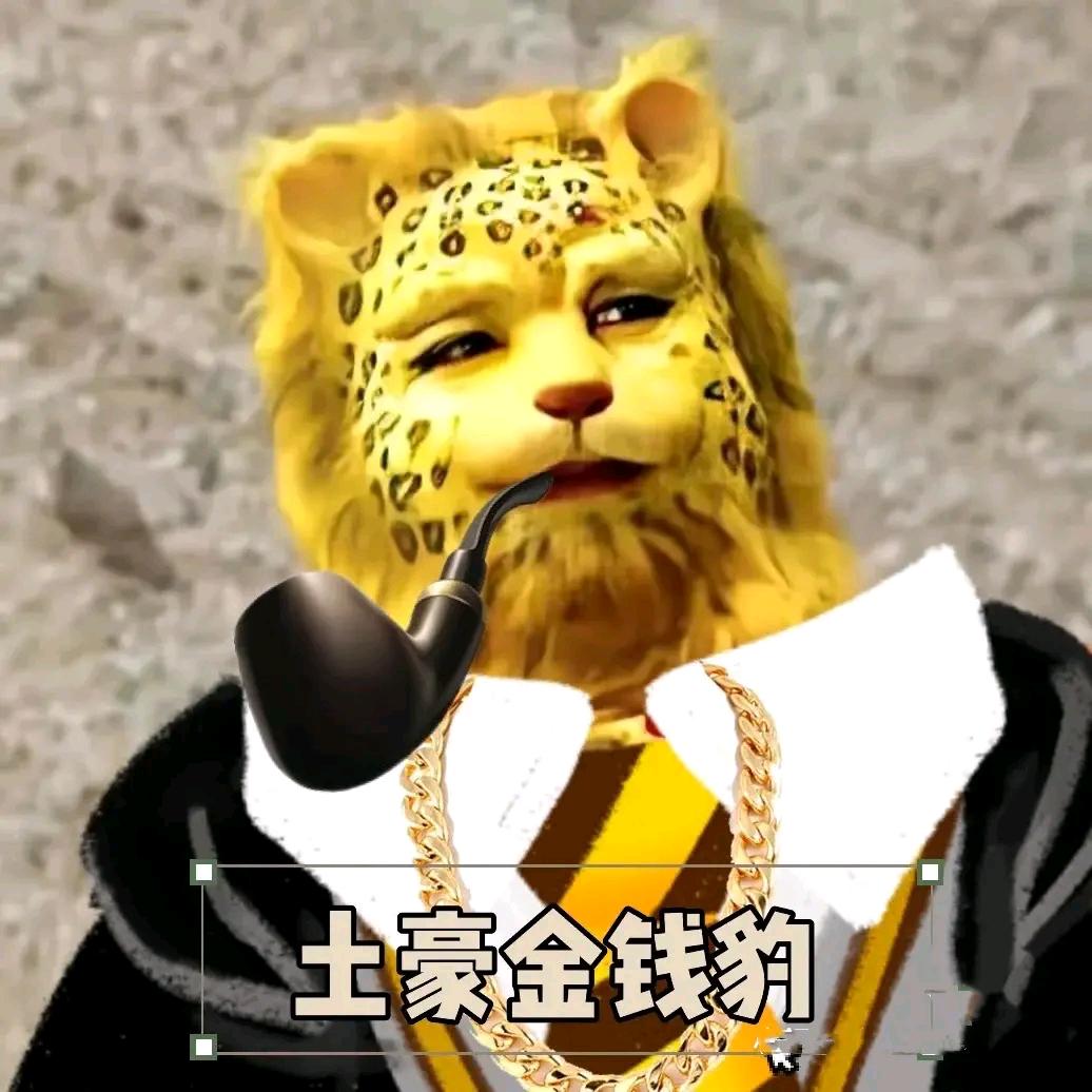 桃李满天下