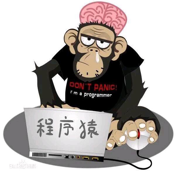 北漂程序猿