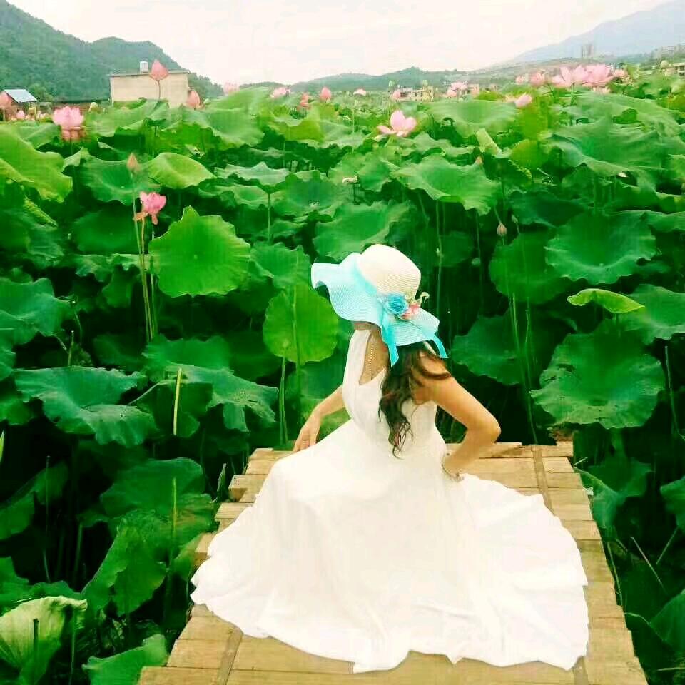生命如歌