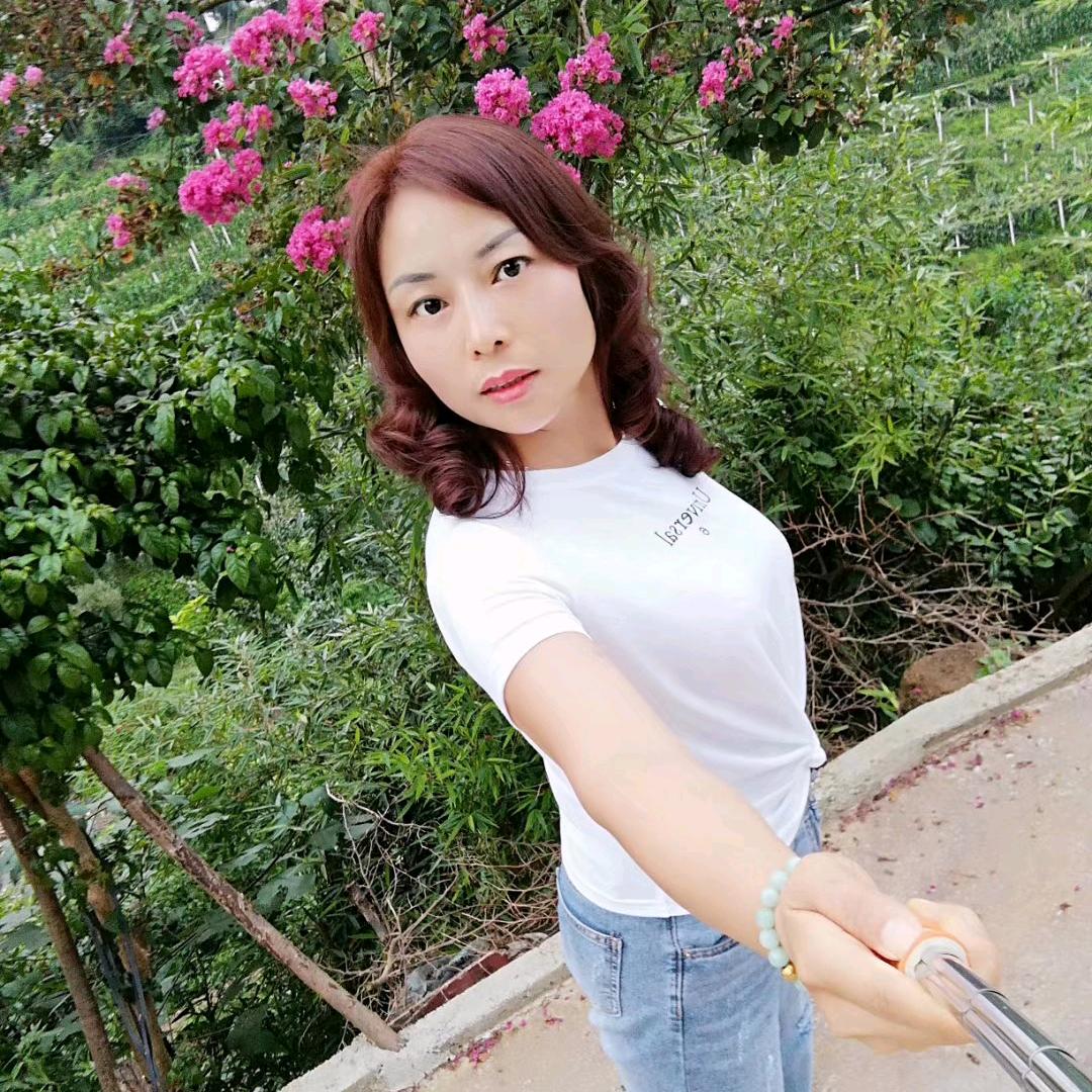 货车司机刺秀