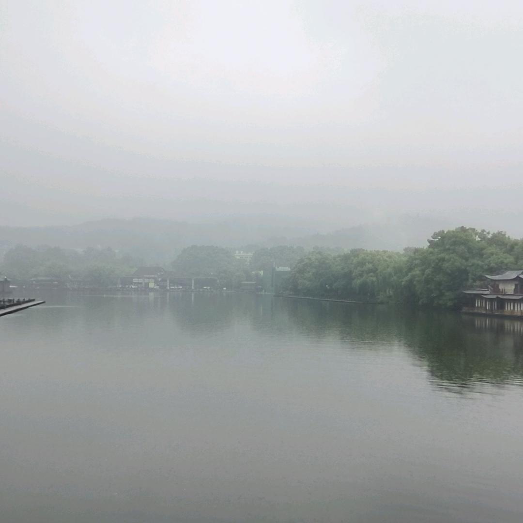 蛋蛋仔