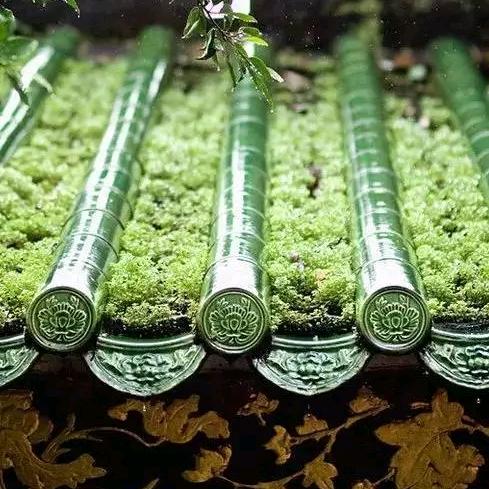 广东顶标瓦业专业盖瓦