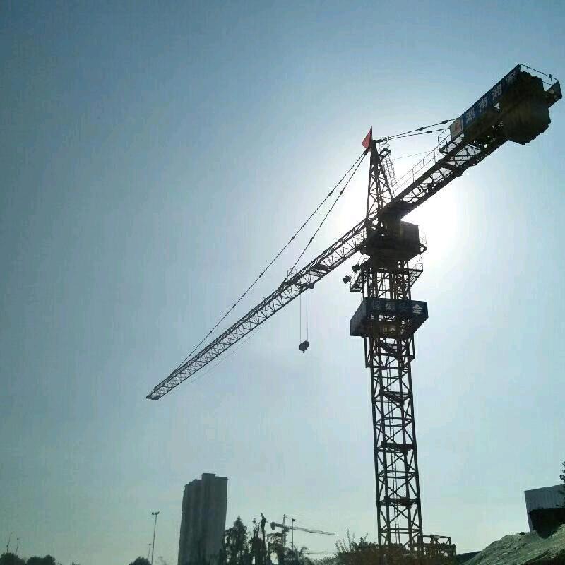 愿做倪师一朵莲