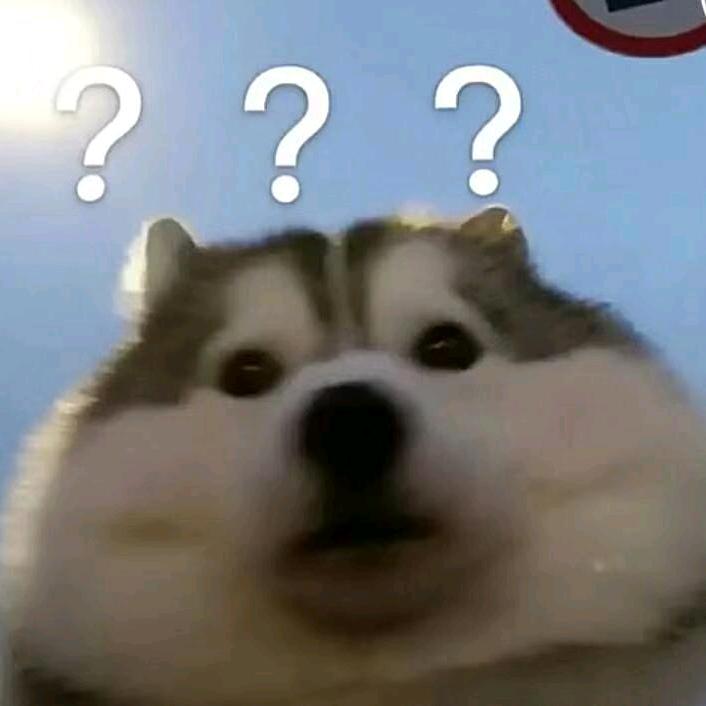 YC小罗