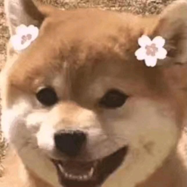 槐序十二