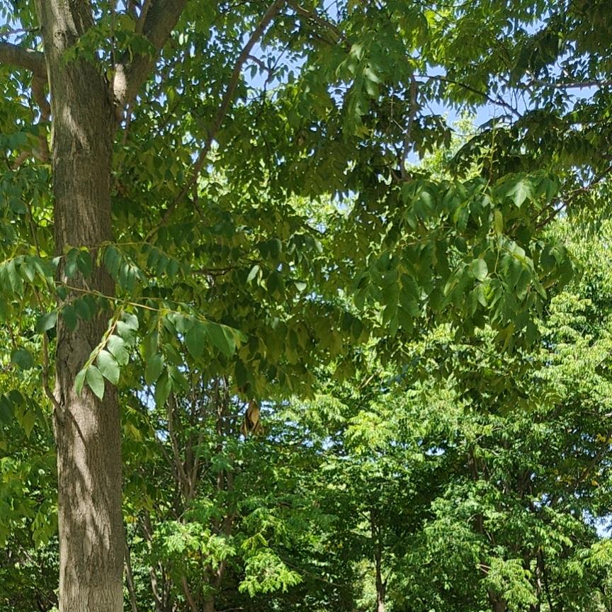 @拂尘轻笑(福鑫)