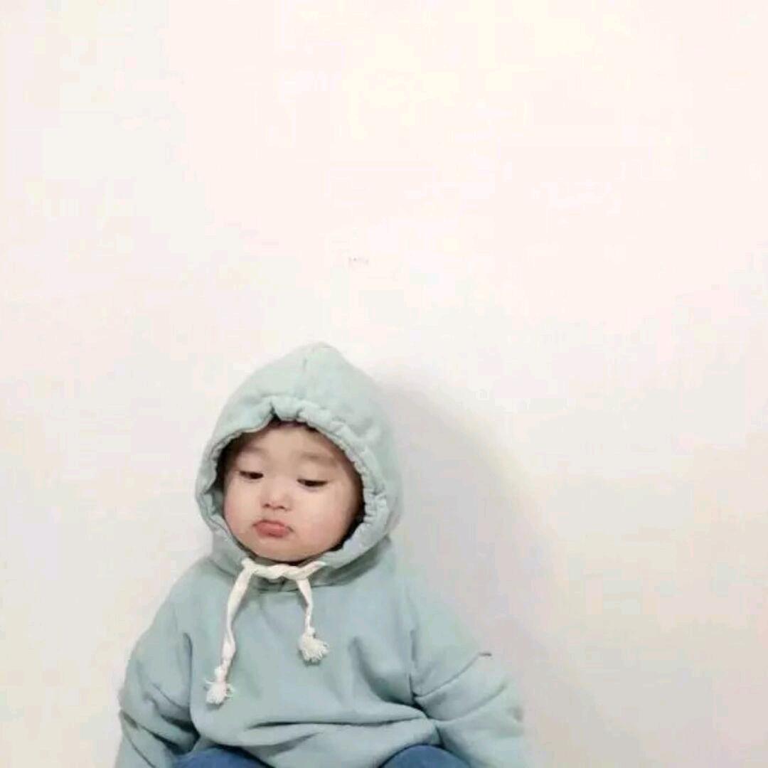 鸽子