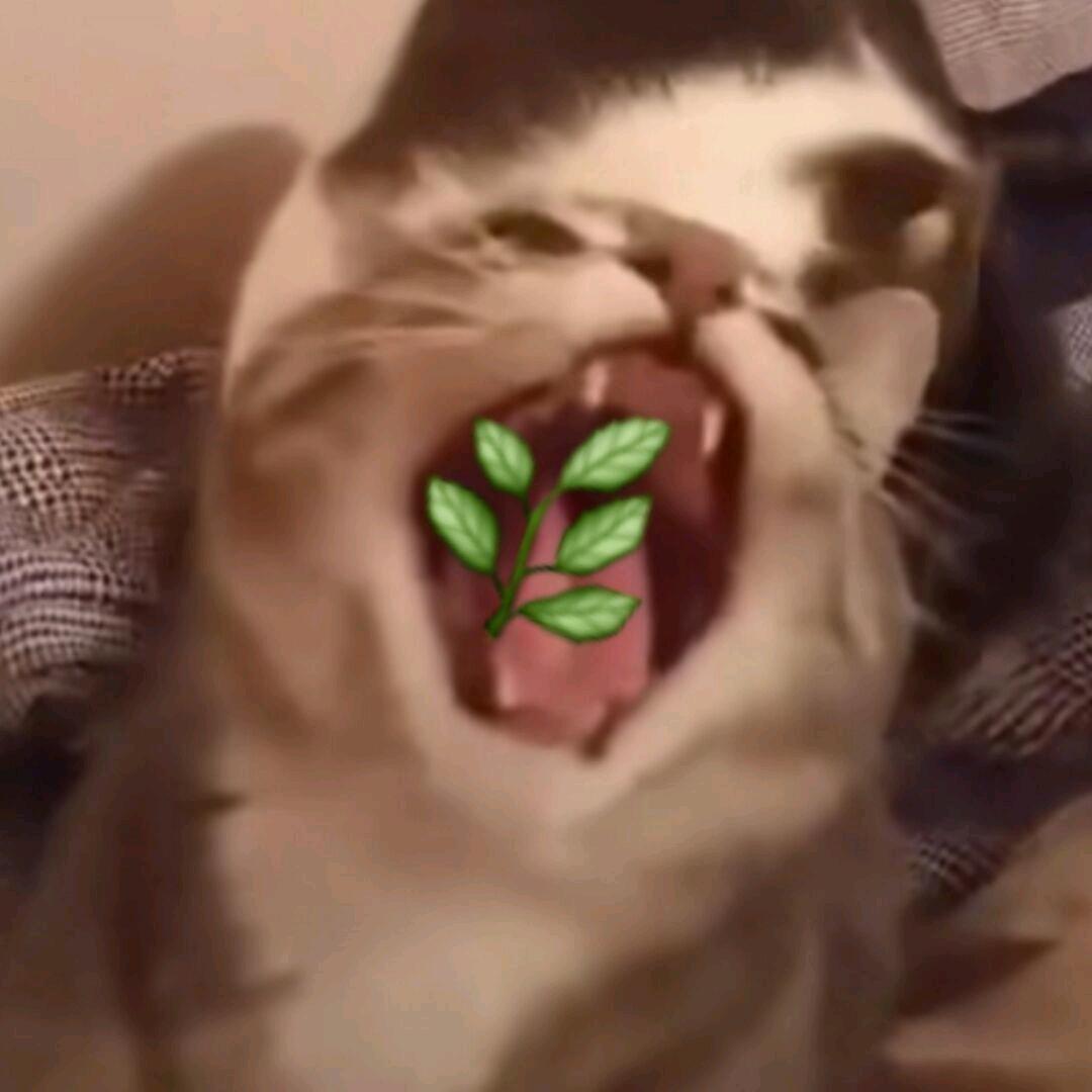 ＋